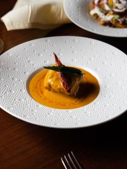 Fine dining Indian cuisine dish featuring a curry sauce with red chili and green garnish on a textured white plate