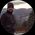 Aravind Chinta's profile picture
